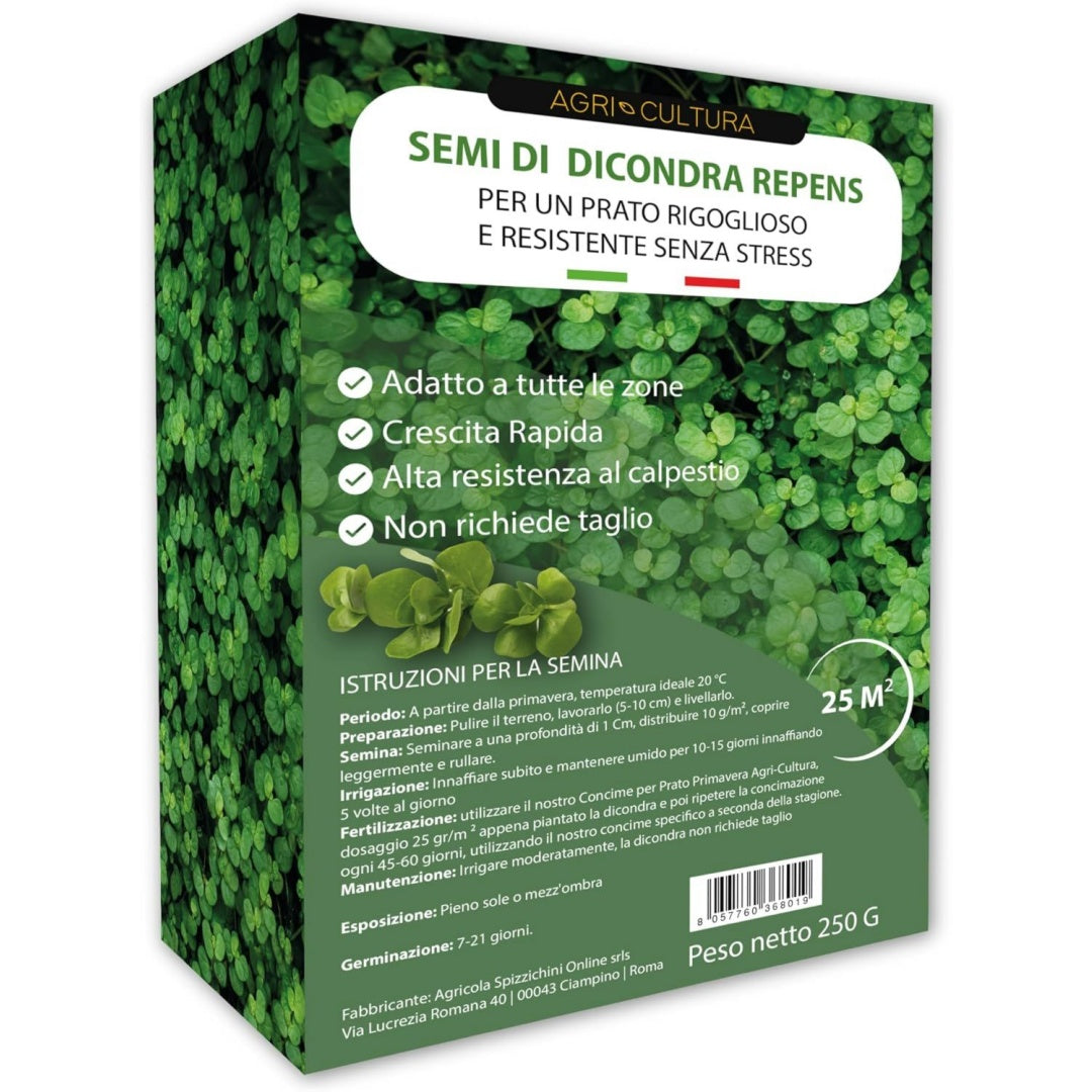 Prato verde per spazi esterni