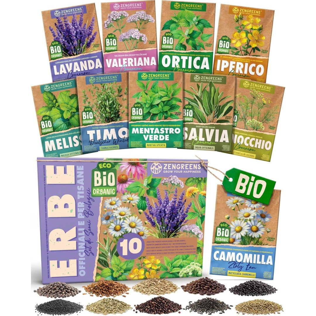 Erbe aromatiche nero per spazi esterni